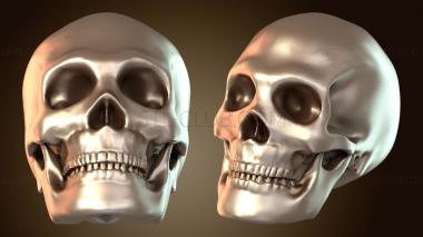 3D модель Череп таранд тд ориент (STL)