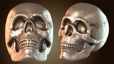 3D модель Змеиный череп (STL)