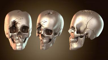 3D модель Вместе навсегда заветные (STL)