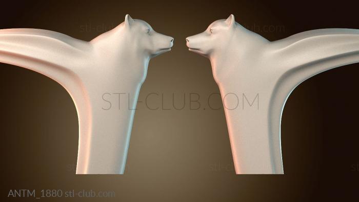 Анатомия скелеты и черепа ANTM_1880