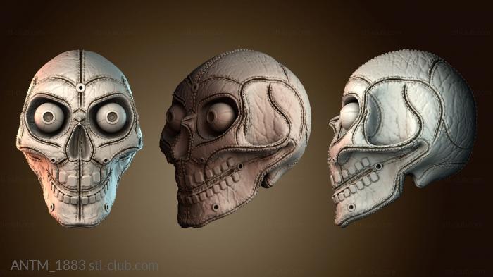 Анатомия скелеты и черепа ANTM_1883