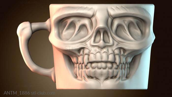 Анатомия скелеты и черепа ANTM_1886