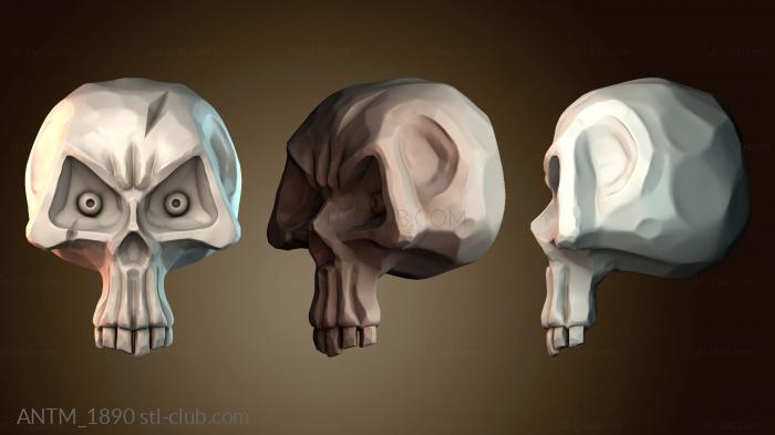 Анатомия скелеты и черепа ANTM_1890