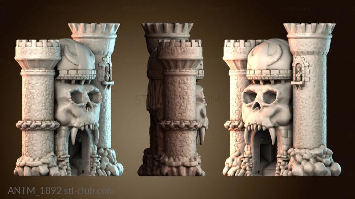 Анатомия скелеты и черепа ANTM_1892