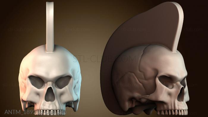 Анатомия скелеты и черепа ANTM_1893