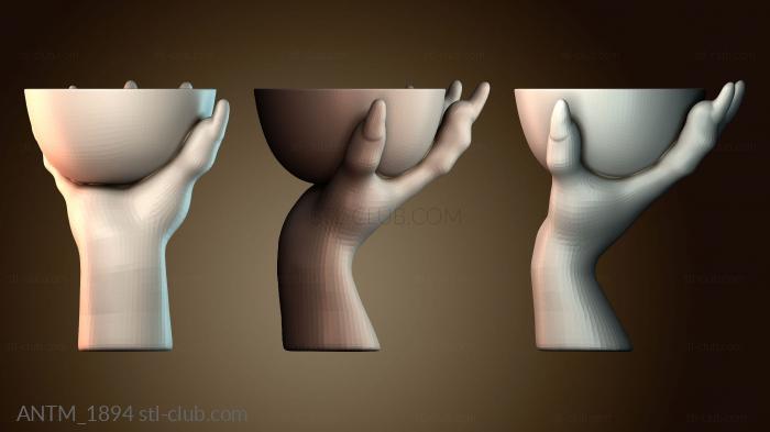 Анатомия скелеты и черепа ANTM_1894