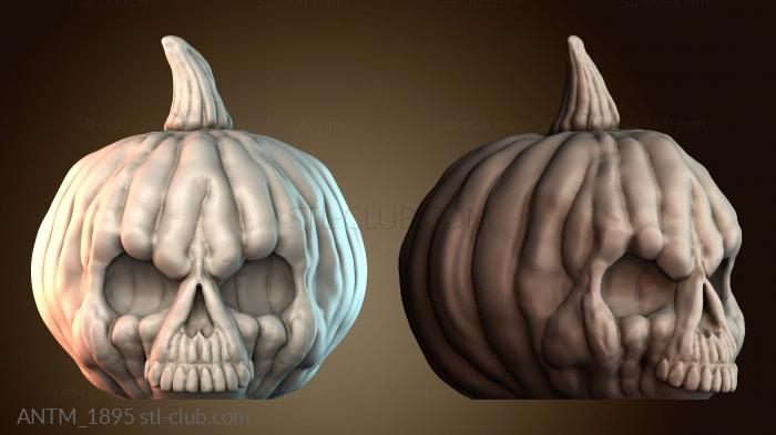 Анатомия скелеты и черепа ANTM_1895