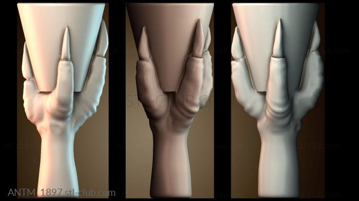 Анатомия скелеты и черепа ANTM_1897