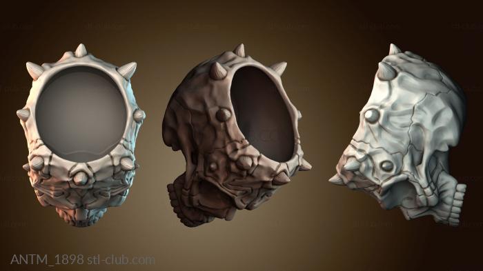 Анатомия скелеты и черепа ANTM_1898