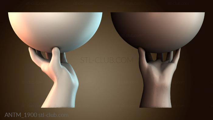 Анатомия скелеты и черепа ANTM_1900