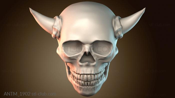 Анатомия скелеты и черепа ANTM_1902