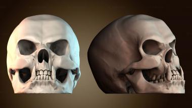 3D модель ANTM_1904 (STL)