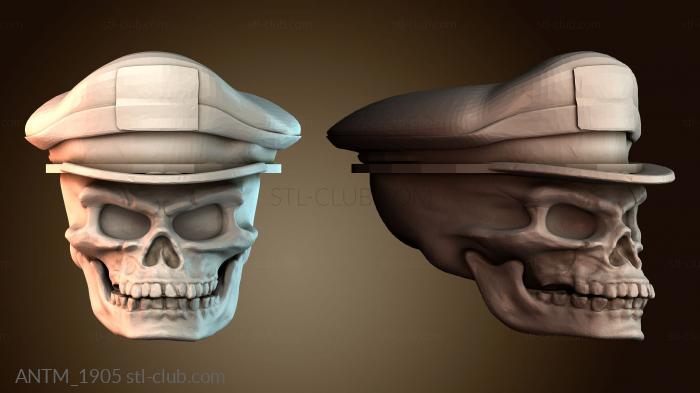 Анатомия скелеты и черепа ANTM_1905