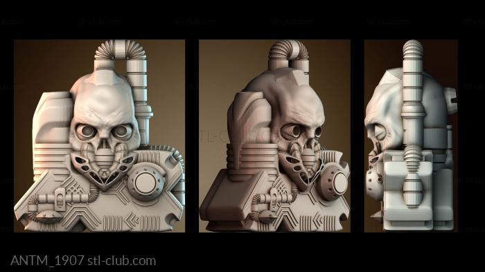 Анатомия скелеты и черепа ANTM_1907