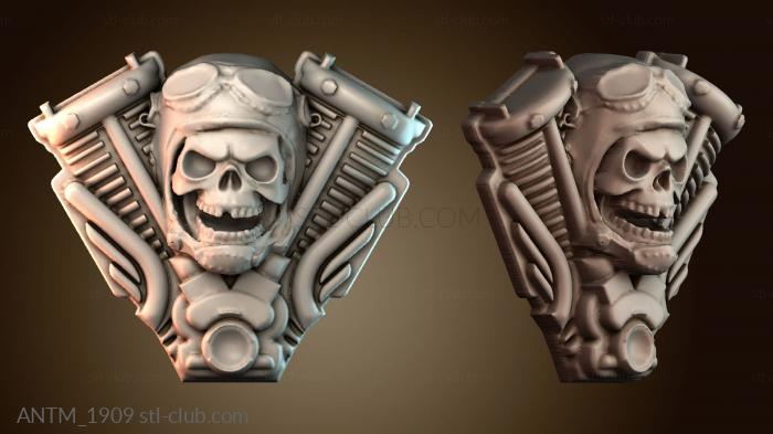 Анатомия скелеты и черепа ANTM_1909