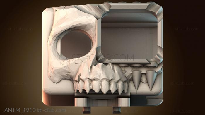 Анатомия скелеты и черепа ANTM_1910