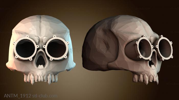 Анатомия скелеты и черепа ANTM_1912