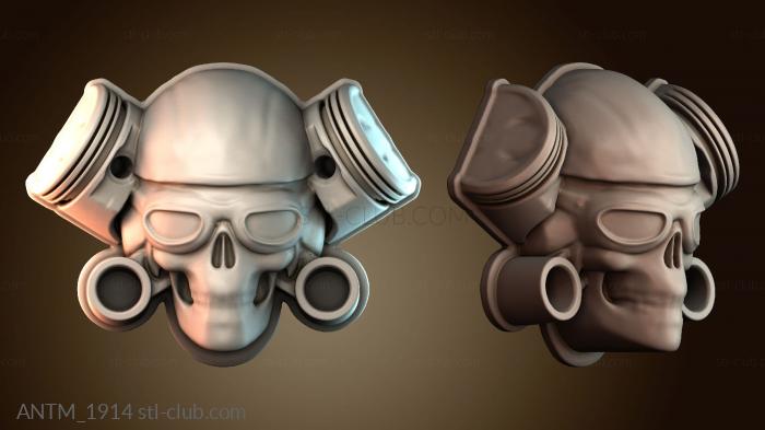 Анатомия скелеты и черепа ANTM_1914