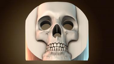 3D модель ANTM_1915 (STL)