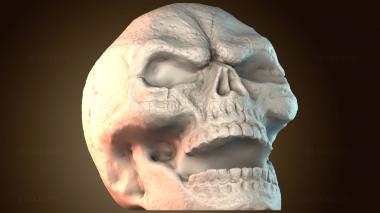 3D модель ANTM_1916 (STL)