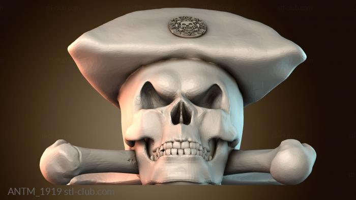 Анатомия скелеты и черепа ANTM_1919