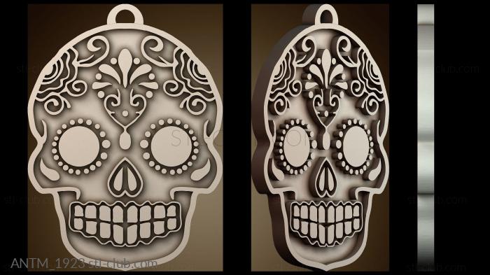 Анатомия скелеты и черепа ANTM_1923