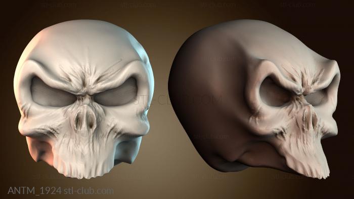 Анатомия скелеты и черепа ANTM_1924