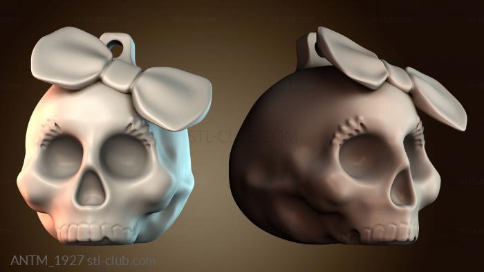 Анатомия скелеты и черепа ANTM_1927