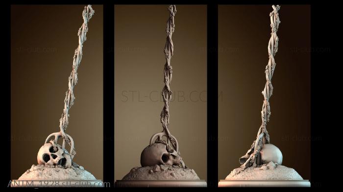 Анатомия скелеты и черепа ANTM_1928