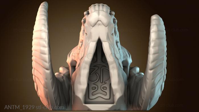 Анатомия скелеты и черепа ANTM_1929