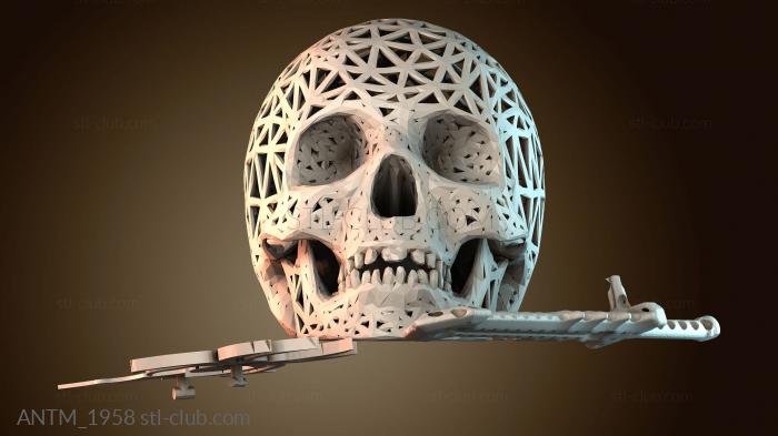 Анатомия скелеты и черепа ANTM_1958