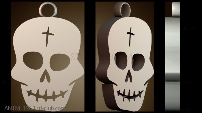 Анатомия скелеты и черепа ANTM_1963