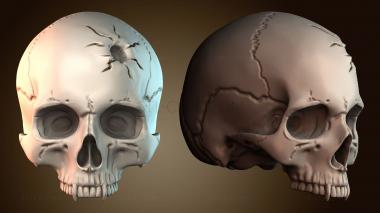 3D модель Череп вампира (STL)