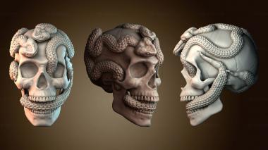 3D модель Череп змеи (STL)