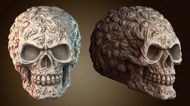 3D модель Череп Душ (STL)