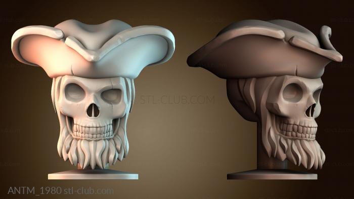 Анатомия скелеты и черепа Пиратский череп