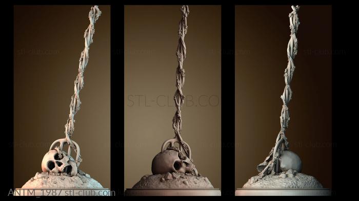 Анатомия скелеты и черепа Пронзенный череп