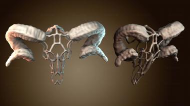 3D модель Проволочный череп барана (STL)