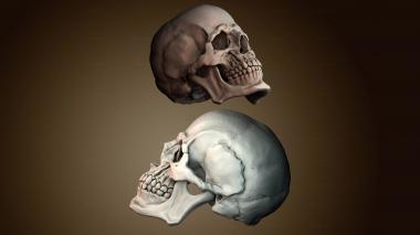 3D модель ANTM_1989 (STL)