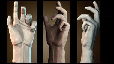 3D модель Рука (STL)