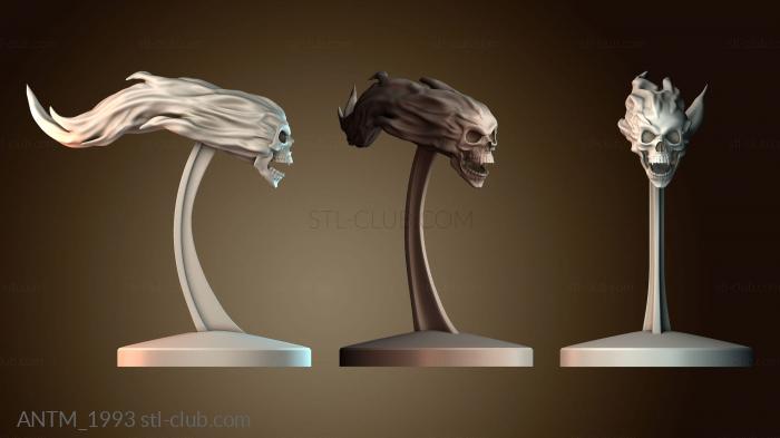 Анатомия скелеты и черепа Пламенный череп