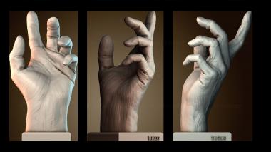 3D модель Анатомия руки (STL)