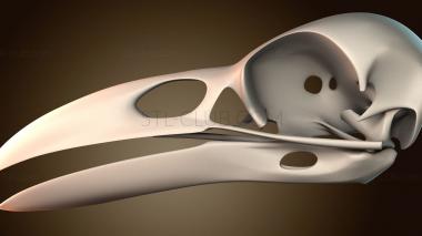 3D модель Череп Ворона (STL)