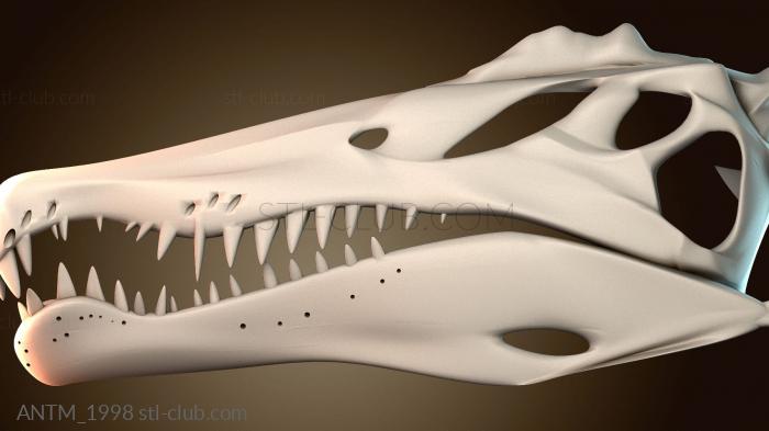 Анатомия скелеты и черепа Любительский череп спинозавра