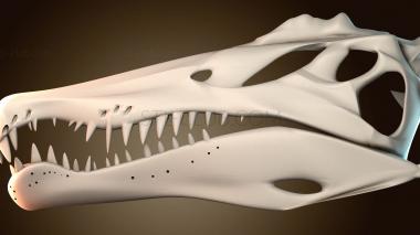 3D модель Любительский череп спинозавра (STL)