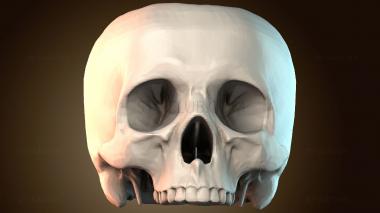 3D модель Чаша череп (STL)