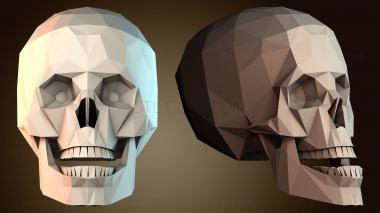 3D модель Череп с челюстью (STL)