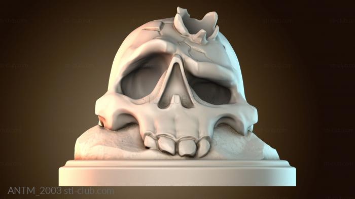 Анатомия скелеты и черепа Держатель ручки стилуса в виде черепа