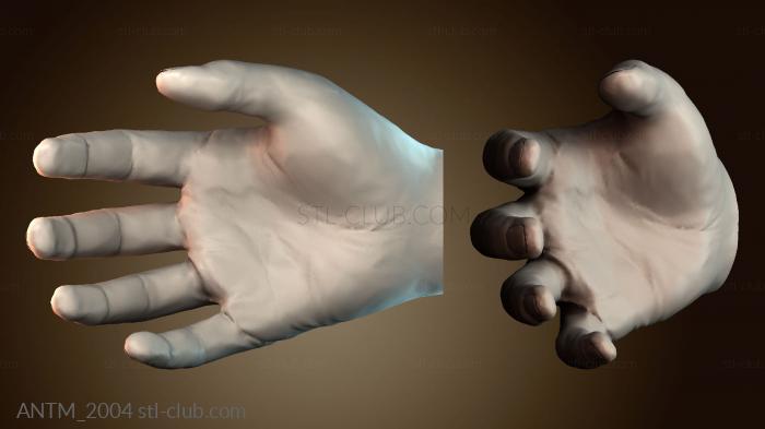 Анатомия скелеты и черепа Удобная мыльница