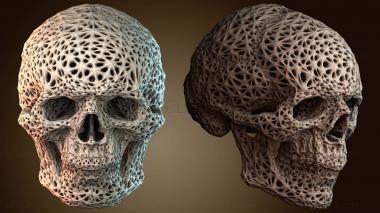 3D модель Сетчатый череп (STL)